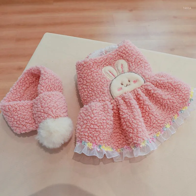 Chien Vêtements Princesse Petites Robes Manteau Chat Jupe Vêtements Boule Écharpe Pour Chiens Chiot Teddy Chihuahua Costume