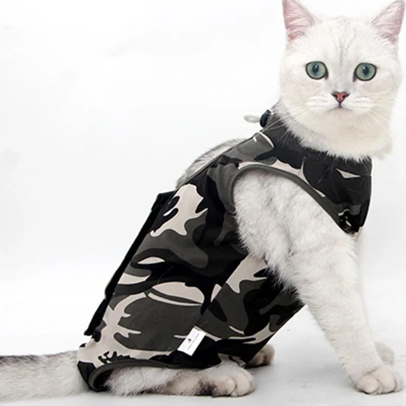 أزياء القط بدلة استرداد احترافية لجروح البطن أو الأمراض الجلدية القطط والكلاب بعد ارتداء بيجاما