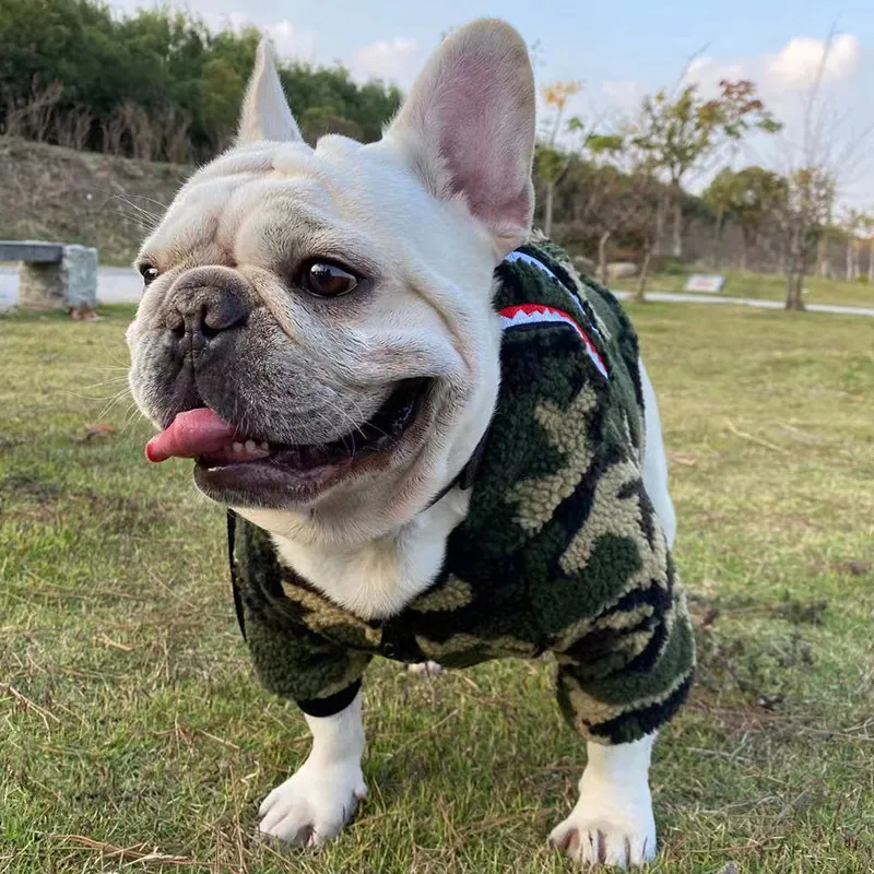 Abbigliamento per animali alla moda Camouflage alla moda Mini cane Schnauzer Teddy Bulldog francese Abbigliamento per cani inglese Abbigliamento invernale Gatto indossabile