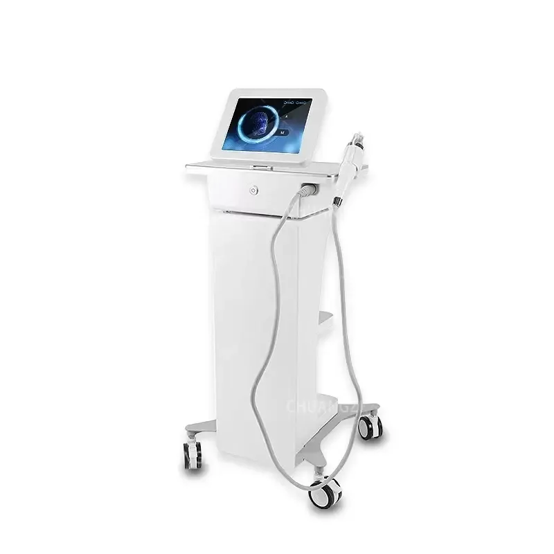 Fractioneel RF Home Beauty Instrument Radiofrequency RF Microneedling Machine Strektekenbehandeling