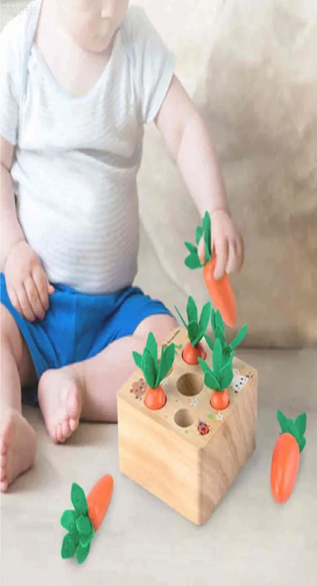 Montessori children039s wooden carrot shaped educational toys game size cognition