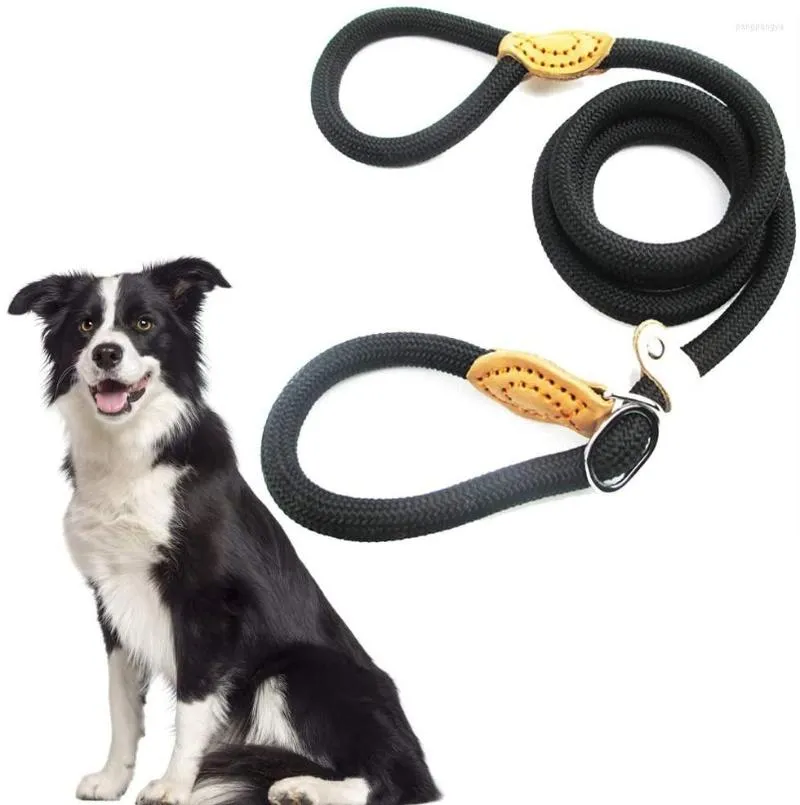 Collari per cani Guinzaglio per animali domestici Guinzaglio per cani in corda di nylon Collare per guinzagli per addestramento a piedi di piccole dimensioni medie