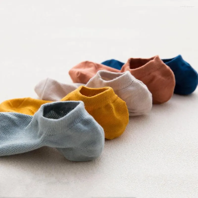 Colorful no show socks deals