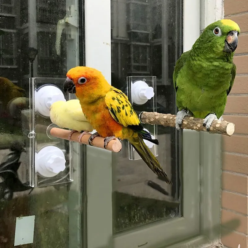 Other Pet Supplies Pet Birds Parrot Perches Toys Holder Wood Support Frame Outing Portable Car Bathing Stand with Suction Cup Parrots Toy 221122