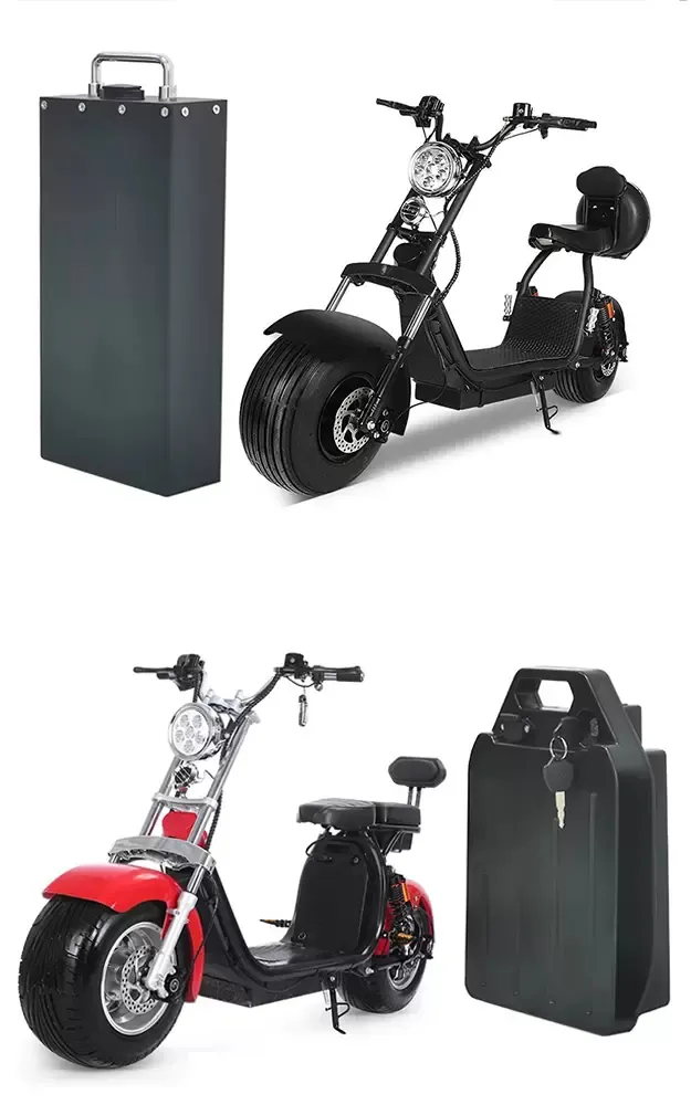 Batterie Lithuim pour le moto électrique Harley 48V 12AH 60V 15AH 20AH Batteries de scooter électrique à trois roues Citycoco WS-Pro Trike 3000W