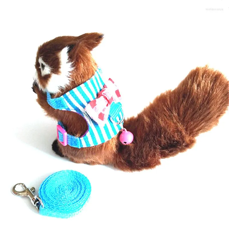 Chinchilla collars and leashes discount