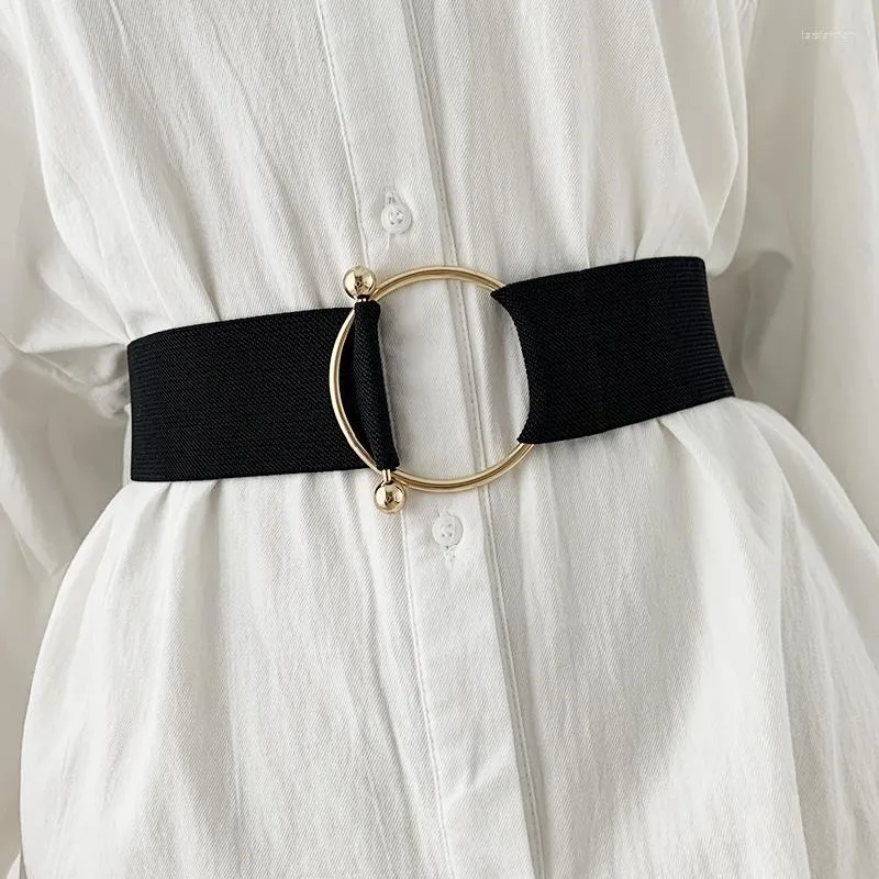knee length dresses for ladies Favorite Daughter The Favorite Belt in Black