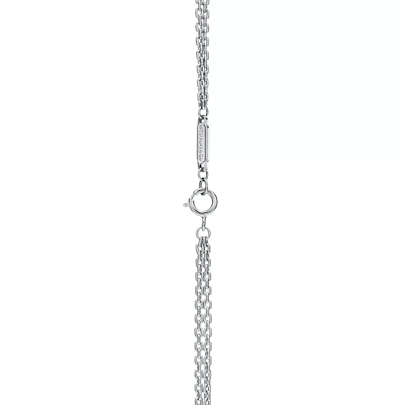 Hästsko halsband kvinnlig lyxdesigner rostfritt stål mode enkla parkedjor halsband charm smycken gåva tjej tillbehör