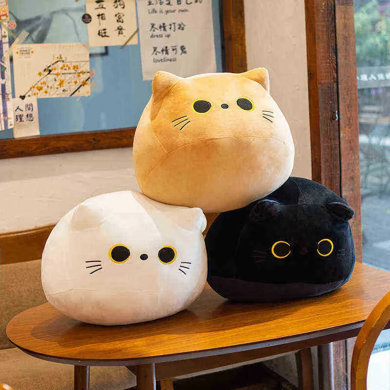 1855cm Mooie Cat Plushie speelgoed Schattig vet kussen kussen gevuld zacht dieren kussen squishy speelgoed voor ldren meisjes Xmas Gifts J220729