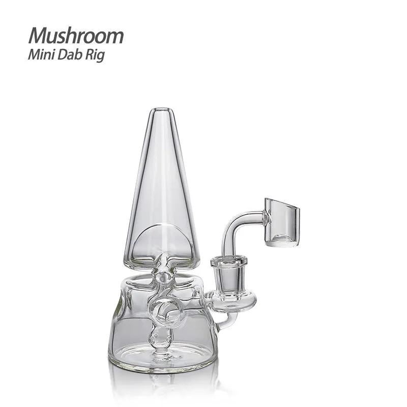 Partihandel 5,71 tum svamp Mini Glass Dab Rig Water Pipe With Glass Banger