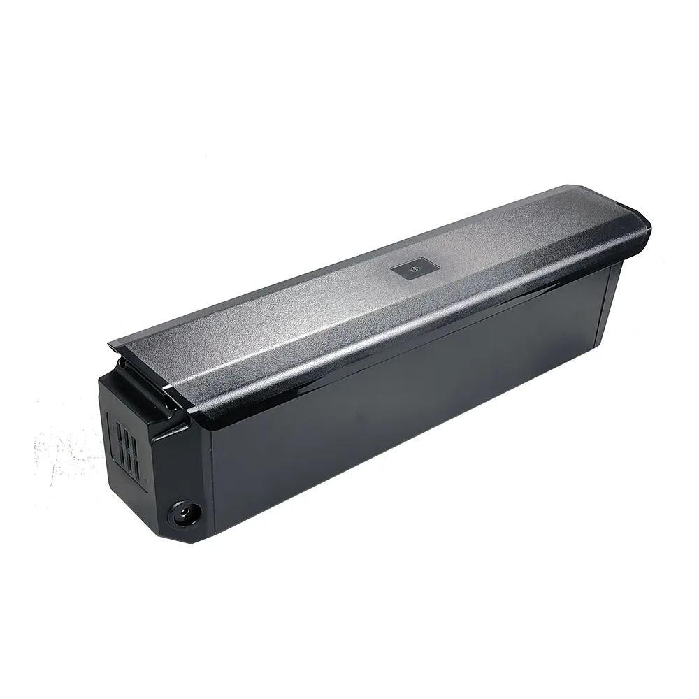 Biggest e bike battery outlet