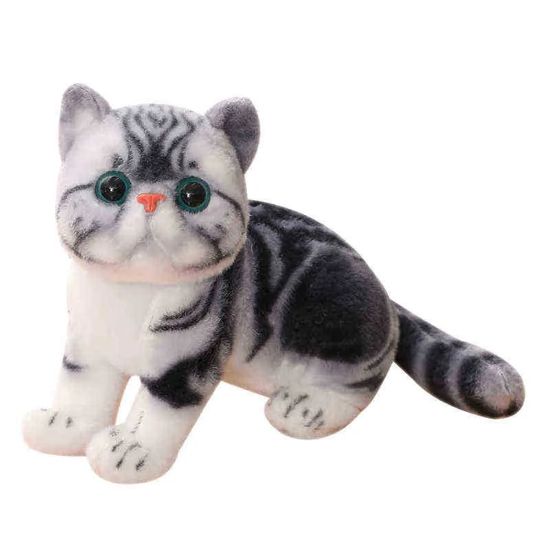 Simulation American Shorthair Cat Cuddle Stuffed Lifelike Plush Siamese Cat Animals Doll Toys For ldren Pet Toys Decoration J220729