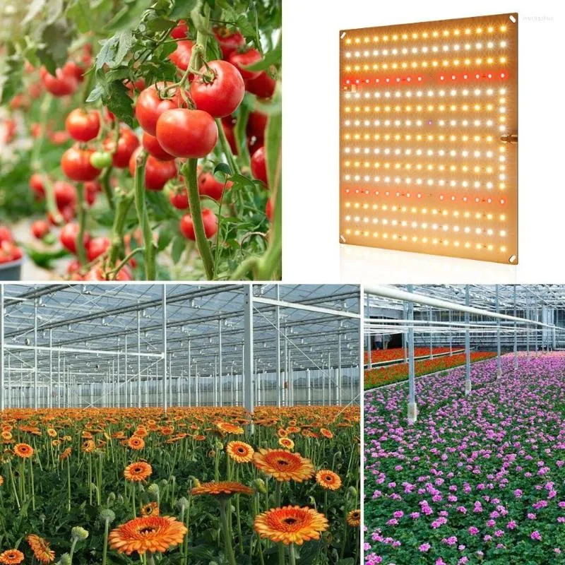 Grow Lights Greenhouse Lighting Thin 234 LEDs Fast Plant Fill Light Solar