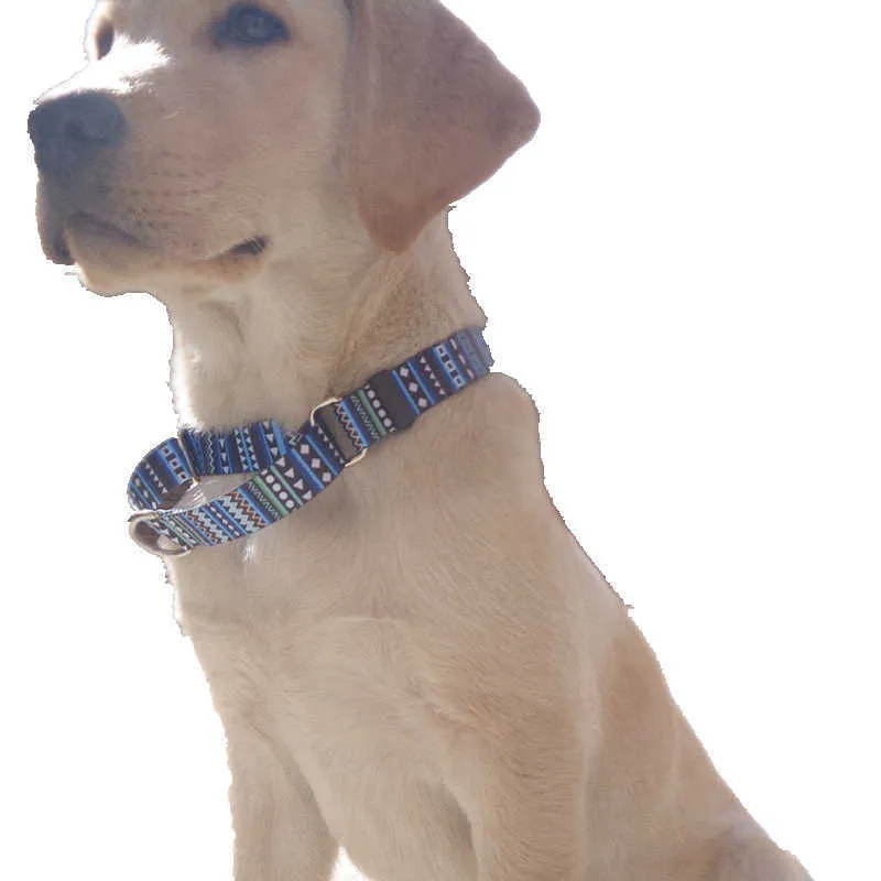 Style Bohème Britannique Colliers Pour Chiens De Compagnie Confortable Coloré Réglable Martingale Collier Fadeproof Sublimation Impression Designer Ceinture 2