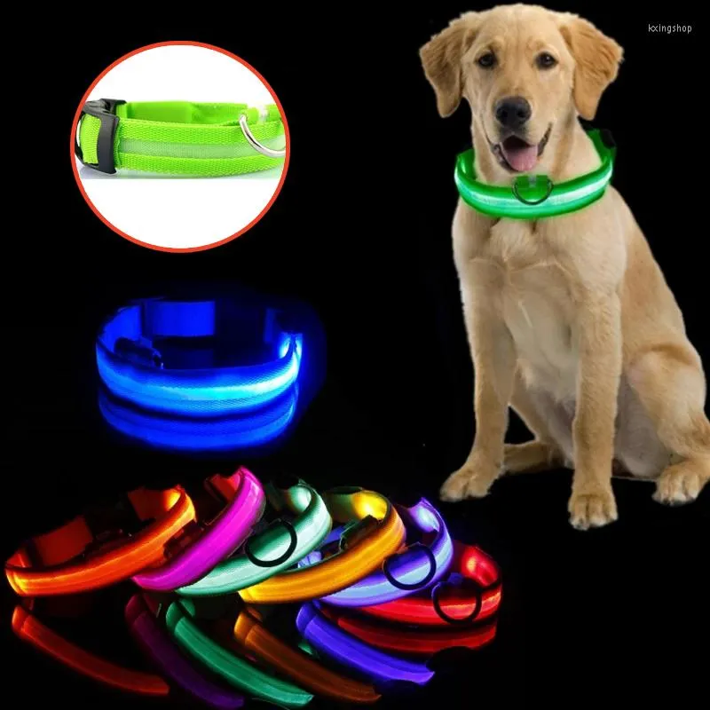 개 칼라 LED 칼라 조명 안티 렌즈 스페셜 강아지 야간 빛나는 용품 애완 동물 제품 액세서리 배터리