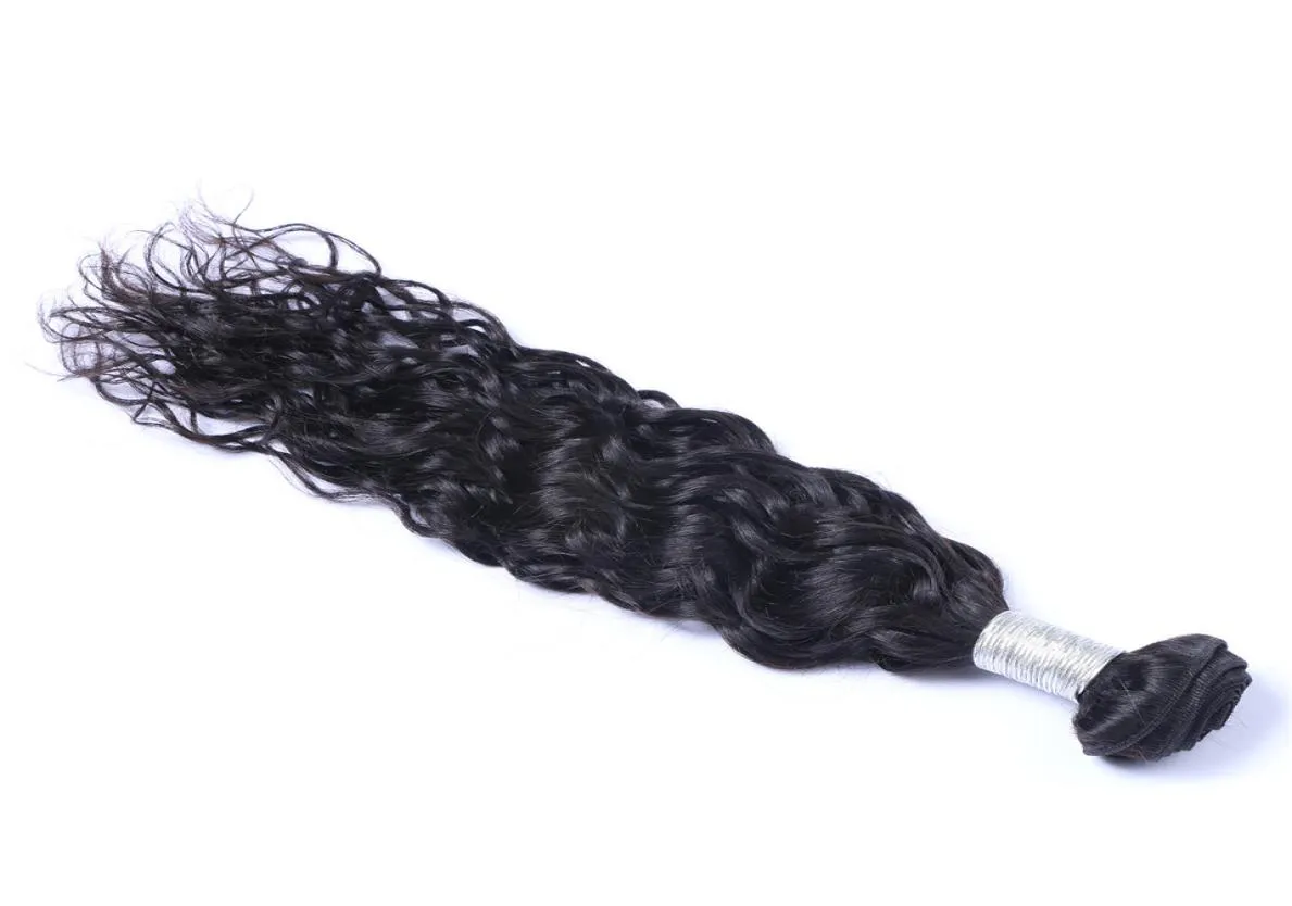 Indian Maagd Human Hair Natural Wave Water WAVE Zelfverwerkte Remy Hair Weaves Dubbele inslag 100 GBundle 1Bundlelot kan worden geverfd BLE2012221