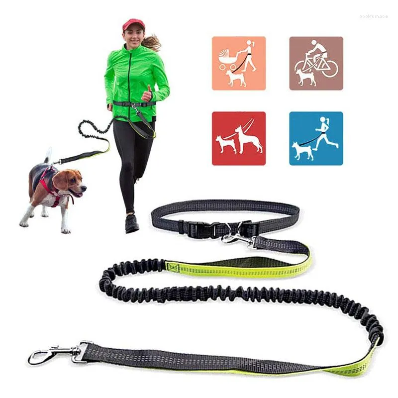 Dog Collars 1.2-1.9M Retractable Leash Adjustable Belt For Running Jogging Walking Hiking Reflective No Pull Harness