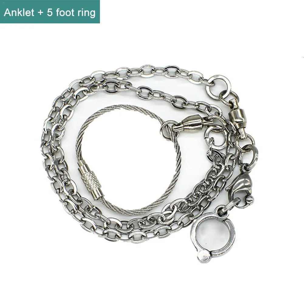 Premium Bird Anklet Leash Set - Stainless Steel Foot Ring Chain for ...