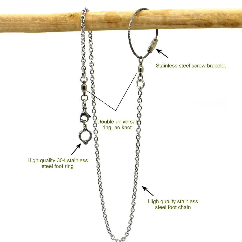 Premium Bird Anklet Leash Set - Stainless Steel Foot Ring Chain for ...