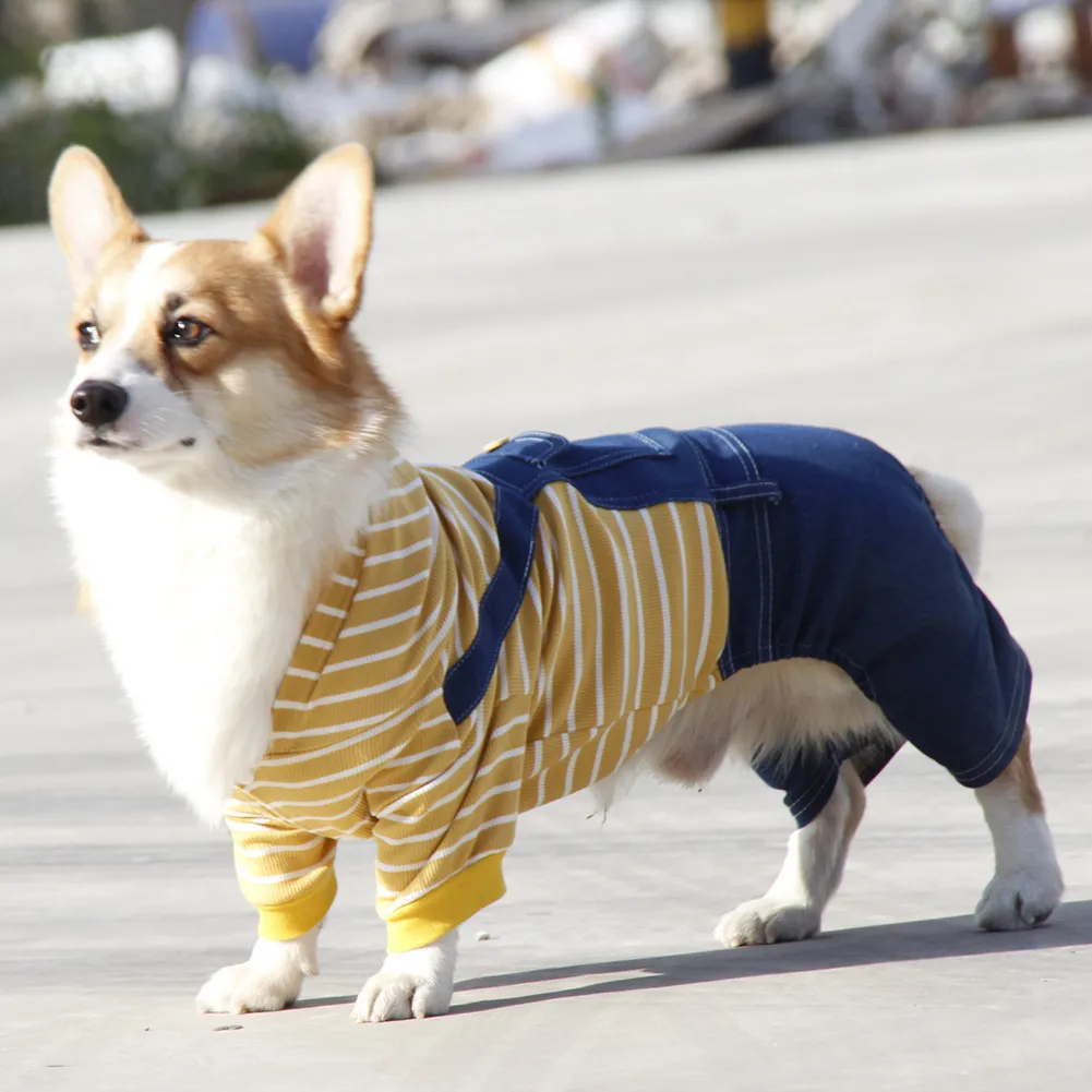 Collegiate top dog apparel