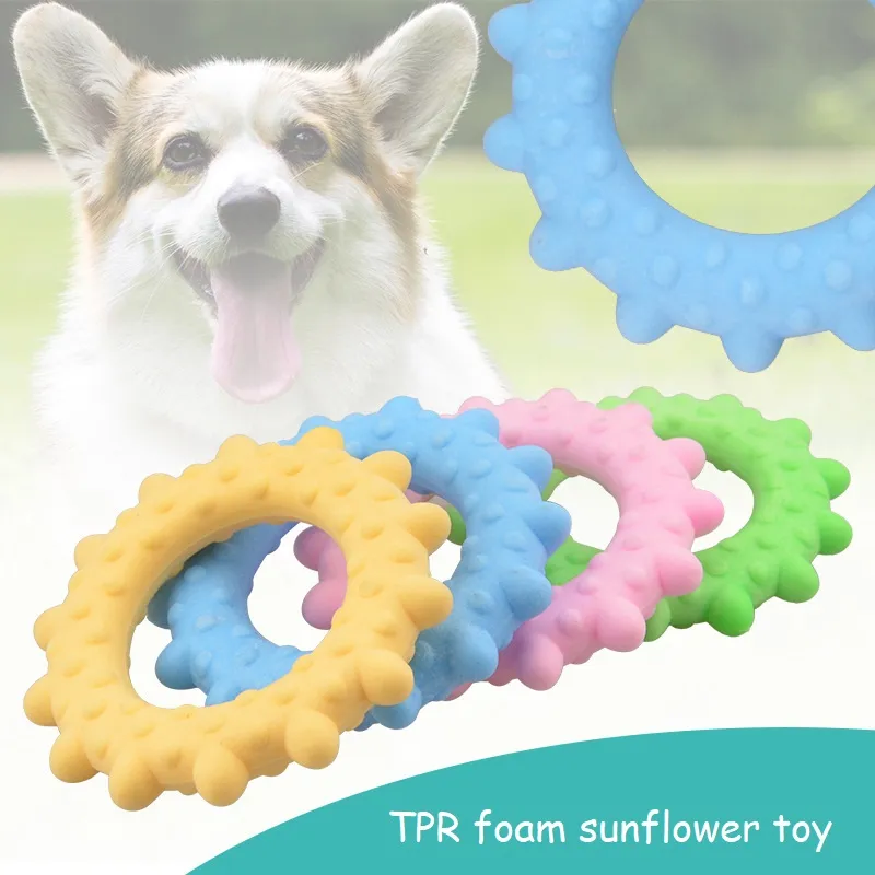 TPR FOAM GNOURFOWER DOG CHEW TOYS BRABOLATAMENTO TROBRIMOLAÇÃO DOM DOMOS PEQUENOS LIMPEZA DE DIOS DE PET RESPONSEIROS MJ1193