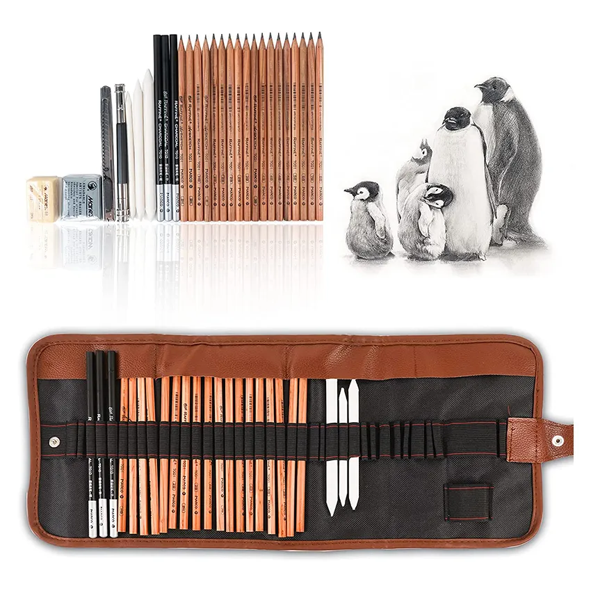 Penne stilografiche 29 pezzi Kit di matite per schizzi Kit completo per artisti Disegno di strumenti artistici con matite a carboncino di grafite Forniture artistiche 221130
