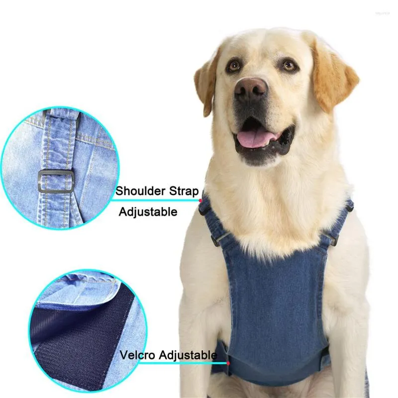 1pc Cane Blu Impermeabile Abbinato Per Cani Di Media E Grande