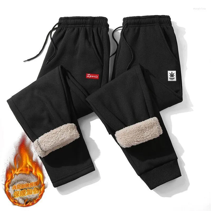 Men's Pants Fleece Sweatpants Men Winter Warm Trousers Mens Thick Velvet Straight Padded