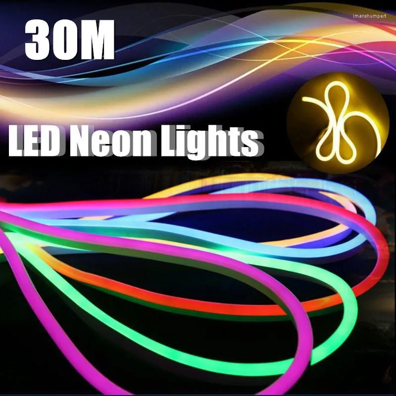 شرائط 30 متر LED Neon Strip Light 2835 حبل مرنة مقاومة للماء IP67 مع إمدادات الطاقة الأمريكية 110 فولت