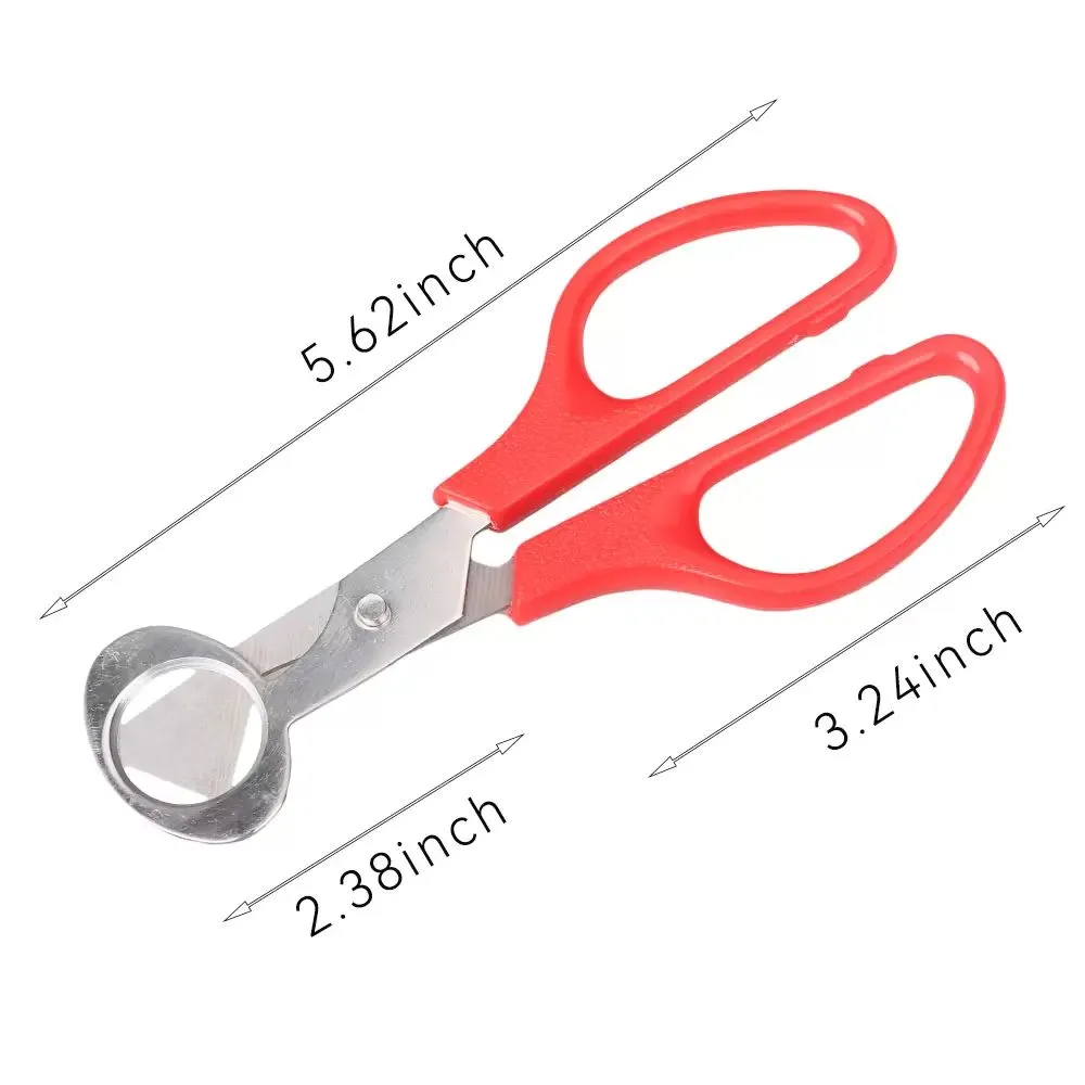 Quail Egg Scissors Bird Egg Scissors Stainless Steel Egg Cutters Opener Shell Utensils For Kitchen