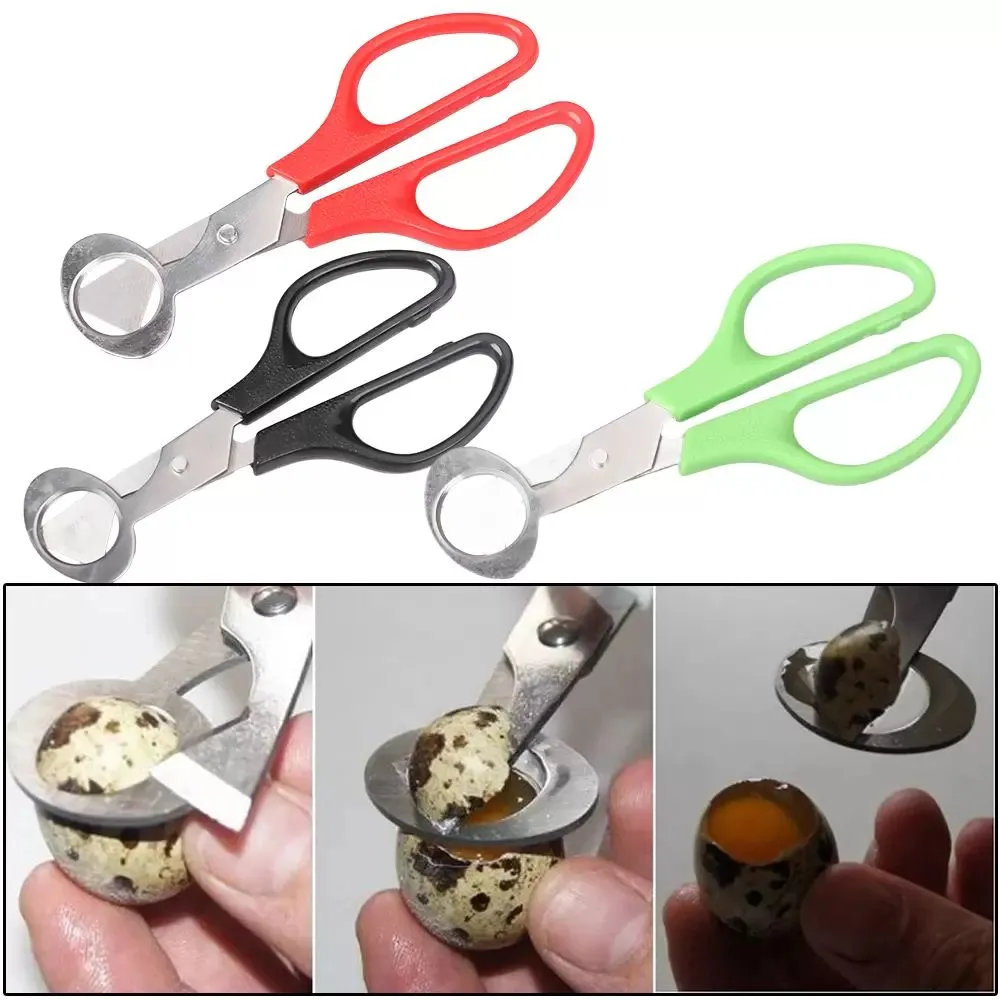 Quail Egg Scissors Bird Egg Scissors Stainless Steel Egg Cutters Opener Shell Utensils For Kitchen