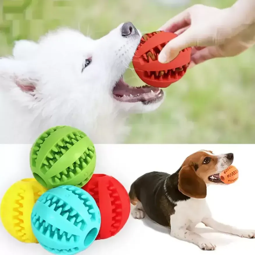 Bolas de borracha interativas de brinquedo para cães para cães de estimação para cães de cachorro de cachorro de cachorro de cachorro para mastigar brinquedos de tes