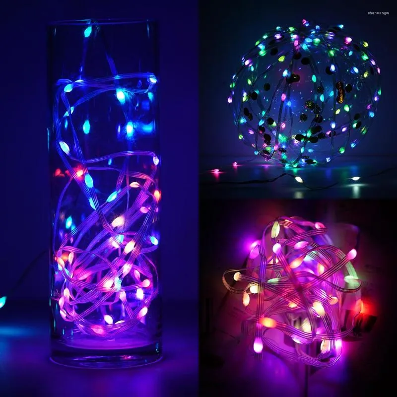 شرائط LED سلسلة WS2812B RGB الحلم الضوء الضوء القابل للعنوان غرفة الحزب الديكور عيد ميلاد ديكور فردي IP67 DC5V