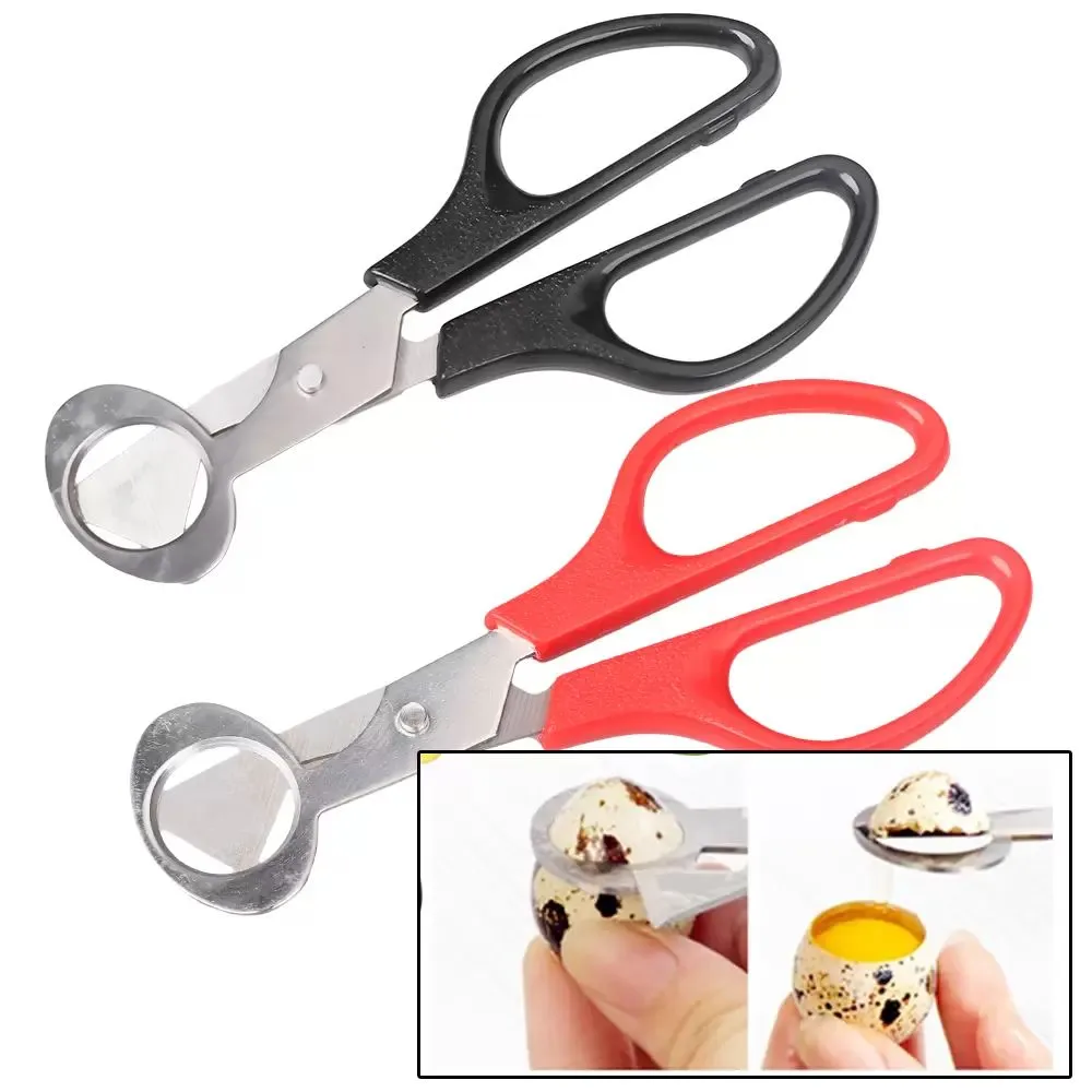 UPS Quail Egg Tools Scissors Fresh Bird Scissors Stainless Steel