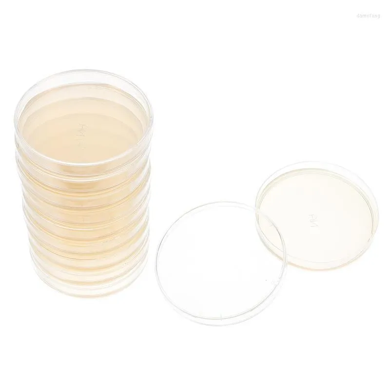 10 stcs petrischalen met agar laboratoriumplaten algemene groeimedium stam educatieve wetenschap fair project kit