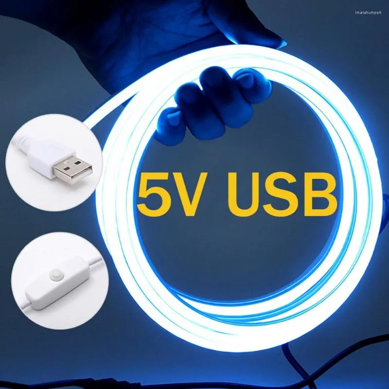 Strisce USB alimentate DC 5V Luce al neon flessibile 2835 120Leds/m Striscia LED a nastro Corda impermeabile con interruttore ON/OFF