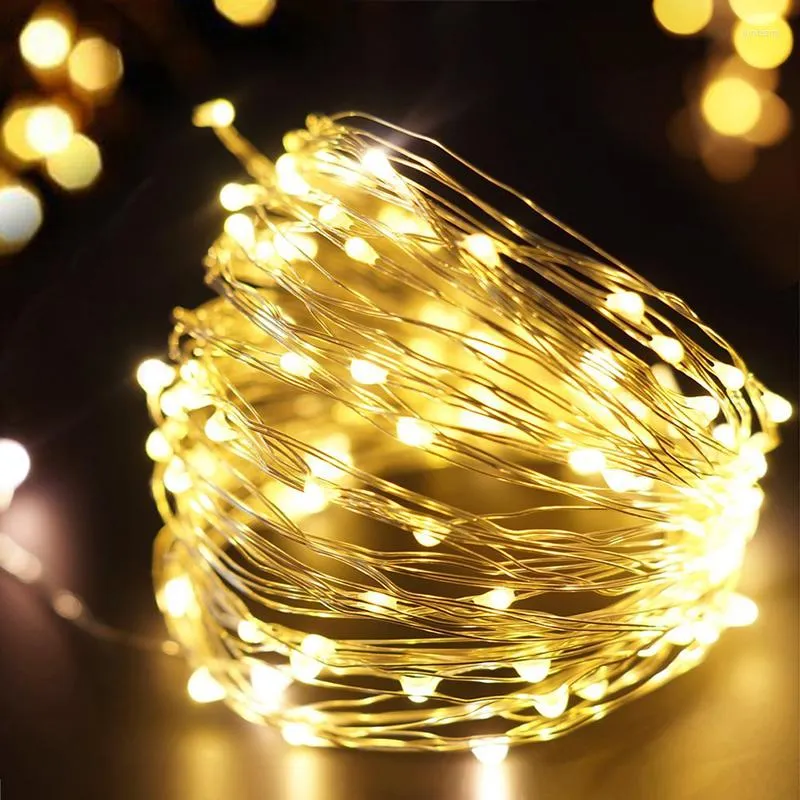 Stringhe Luci a LED a LED 10M 5M 2M Ghirlanda di filo d'argento Casa Decorazione della festa nuziale di Natale Alimentata da batteria da 5 V Luce fata USB