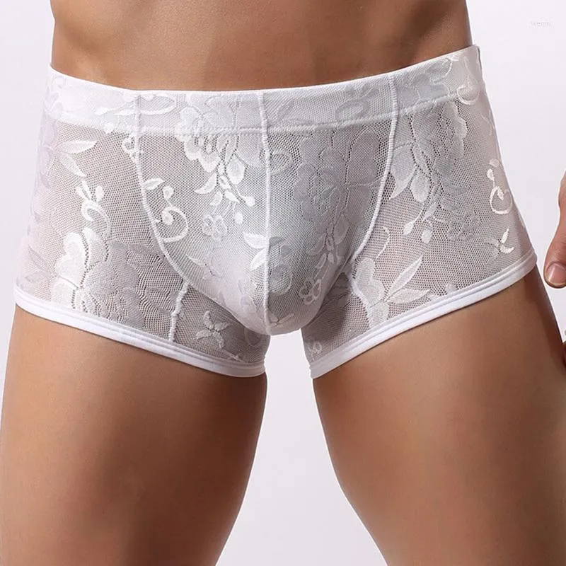 Underbyxor mitt i midjan trosor män sexiga spetsar underkläder transparent andningsboxare utskrift hombre shorts 2 uckor m-xl