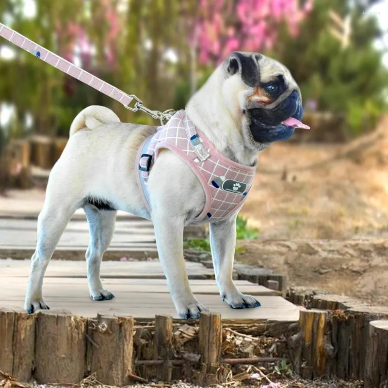 Obroże dla psów szczeniąt nylonowe kateget kota refleksyjna chodzenie ołowiu smyczy lina dla małego średniego petshop Chihuahua