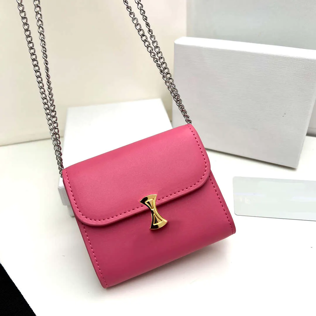 Trendy Chain Mini Shoulder Wallets Bags Designer Metal Buckle Purses Women Handbag Small Chain Clutches With 2022