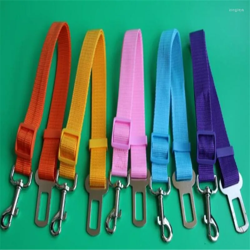 Colliers pour chiens chat voiture ceinture de sécurité réglable siège pour animaux de compagnie véhicule Leas pince magique fournitures collier de Traction à levier sûr