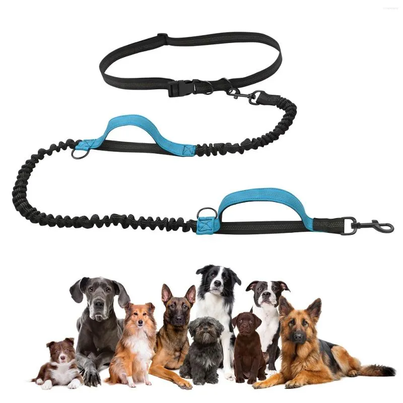 Colliers pour chiens, laisse à double poignée, taille élastique, pour animaux de compagnie, pour grands chiens, accessoires de marche moyens, conception réfléchissante