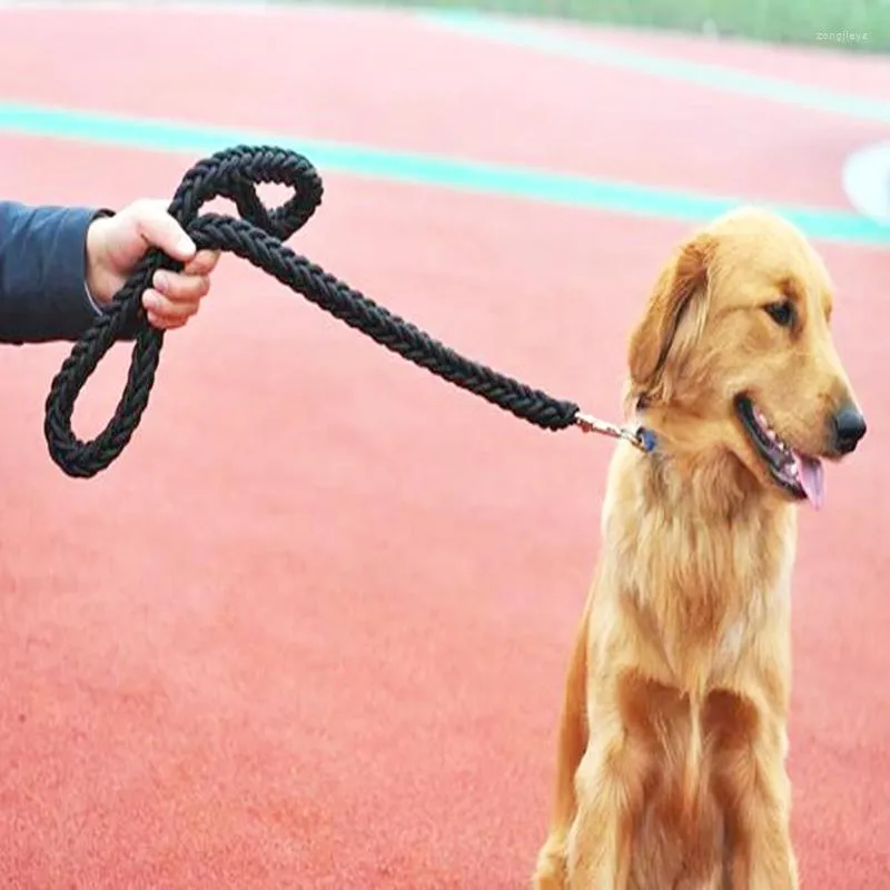 Obroże dla psów nylonowa uprzęże smycz dla średnich dużych psów prowadzi trening zwierząt domowych.