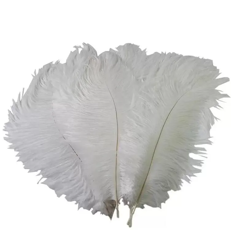10 14 Inch White Jonathan Adler Ostrich Feathers Plume Craft Supplies  Wedding Party Table Centerpieces Decoration From Etoceramics, $0.42