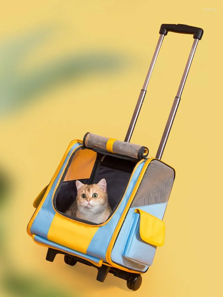 Transportadoras de gatos Moda de mochila de grande capacidade A caixa de uso dupla e de transportadora de cães de grande capacidade de cães