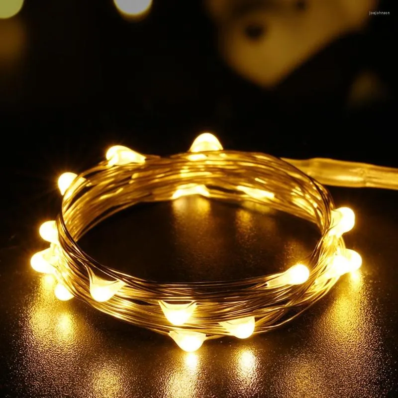 Cordes 20 LED Blanc Chaud Micro Étoilé Fil De Cuivre Guirlandes Lumineuse À Piles Étanche Lune Décoration Fête De Mariage