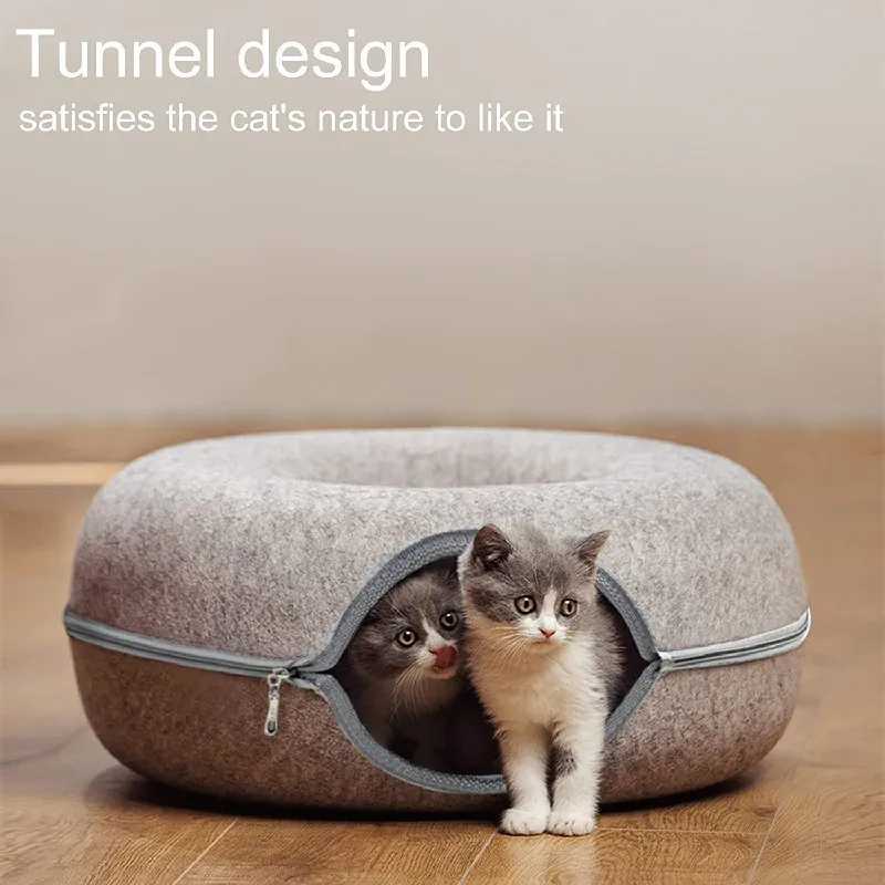 crazy cat beds