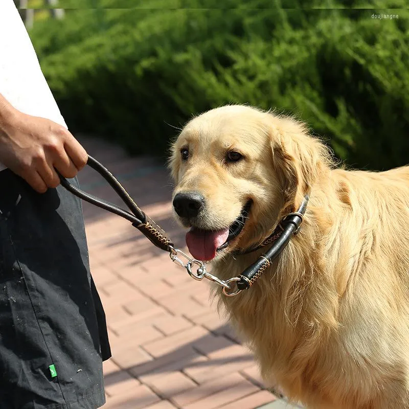 Köpek yakaları büyük tasma yumuşak cowhide kısa zincirli evcil hayvan eğitim ipi Alman çoban altın retriever satsuma büyük köpekler kurşun tasmalar