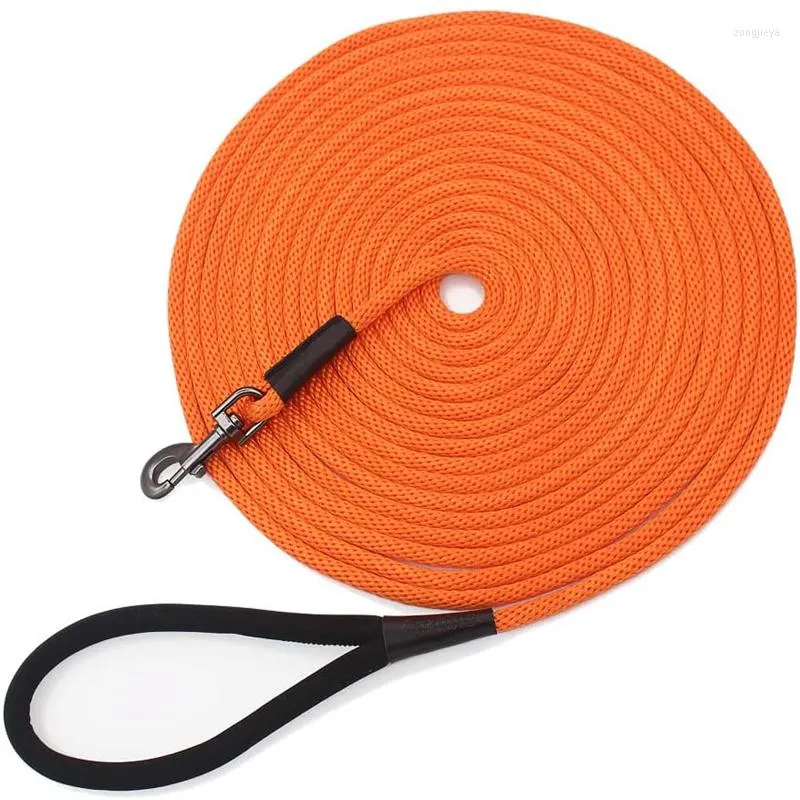 Hondenkragen riem hoogwaardige nylon long tracking ronde touw buiten wandeltraining huisdieren uitlaat voor medium groot