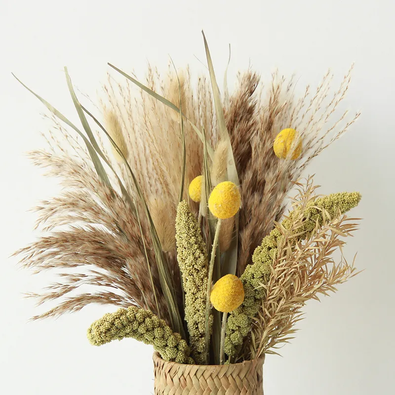 Faux Floral Verdure Plante Artificielle Pour La Maison Jardin Decraiton Herbe De Pampa Primaire Boule De Magnolia Jaune Reed Dipsacus Sativus Bouquet De Fleurs Séchées 221010